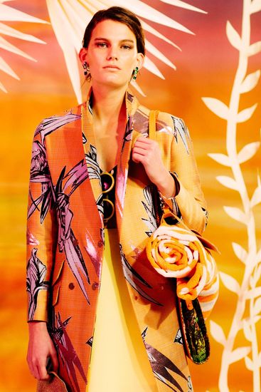 jungle scene image 1_edited-1.jpg